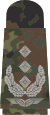 Oberst (Flecktarn)