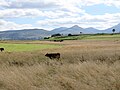 Tourbière du Jolan