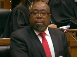 <span class="mw-page-title-main">Thulas Nxesi</span> South African politician