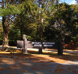 <span class="mw-page-title-main">Myles Standish State Forest</span> Protected area in Massachusetts, United States