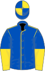 Royal blue, yellow seams, halved sleeves, royal blue and yellow quartered cap