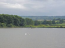 Expanse of water with white birds. Trees and hills in the background