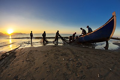 Tari Pukat adalah tari tradisional Indonesia yang berasal dari provinsi Aceh. Yang memiliki makna kebersamaan dan saling tolong menolong