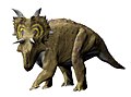 Xenoceratops