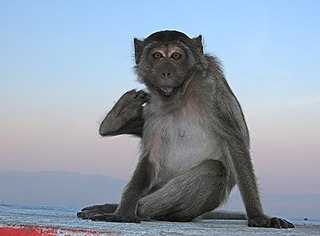 <span class="mw-page-title-main">Wildlife of Myanmar</span>