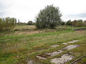 La réserve naturelle d'Alney Island.