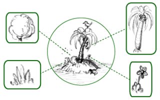 Flora Inventory of plant species in a given region