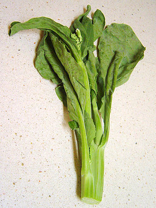 <span class="mw-page-title-main">Gai lan</span> Leaf vegetable