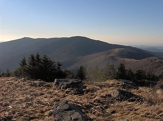 <span class="mw-page-title-main">Roan Mountain (Roan Highlands)</span> Mountain straddling the North Carolina/Tennessee border