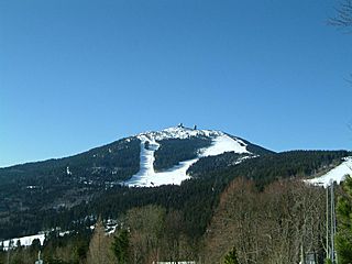 <span class="mw-page-title-main">Bohemian Forest</span> Low mountain range in Central Europe