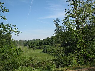 Hanover Township, Washington County, Pennsylvania Township in Pennsylvania, United States