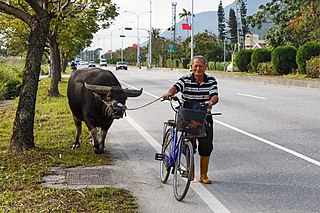 <span class="mw-page-title-main">Agriculture in Taiwan</span>