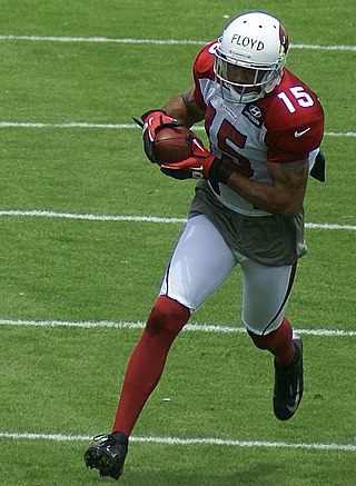 <span class="mw-page-title-main">Michael Floyd</span> American football player (born 1989)