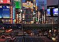 Night in Shinjuku 3