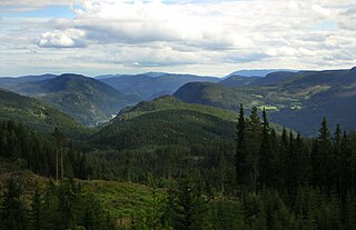 <span class="mw-page-title-main">Valdres</span> District in Innlandet, Norway