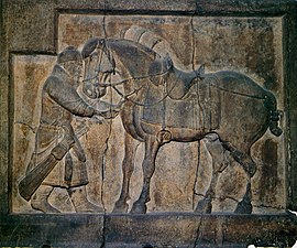 Relief eines Kriegspferds am Zhaoling-Mausoleum (frühes 7. Jahrhundert)