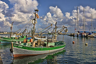 <span class="mw-page-title-main">Fishing in Israel</span> Branch of the Israeli economy