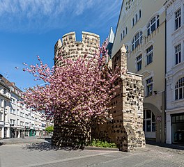 Bonn, North Rhine-Westphalia, Germany (2020, de, 97th)