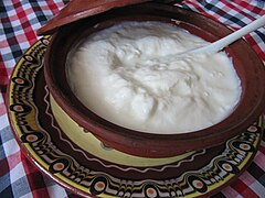 Bulgarian yogurt