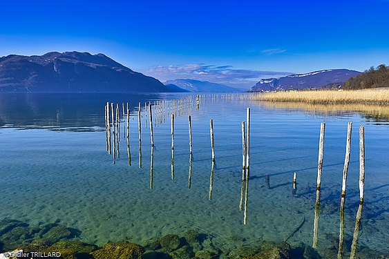 Poteaux au bord du Lac du Bourget