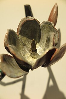 Magnolia by Sarah Maloney Magnolia flower Maloney.JPG