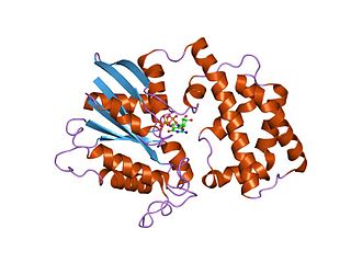 <span class="mw-page-title-main">Regulator of G protein signaling</span>