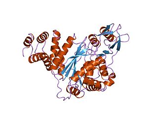 <span class="mw-page-title-main">Mitochondrial neurogastrointestinal encephalopathy syndrome</span> Medical condition