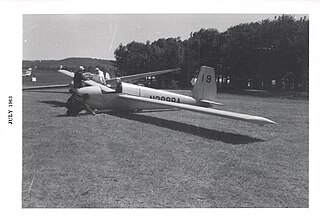 <span class="mw-page-title-main">Schweizer SGS 1-29</span> American sailplane