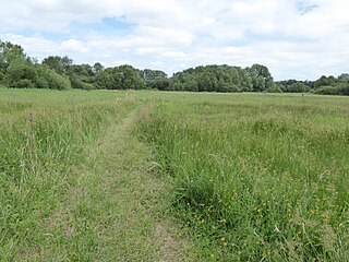 <span class="mw-page-title-main">Blo' Norton and Thelnetham Fens</span> Nature reserve in east England