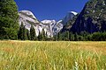 Yosemite National Park, USA