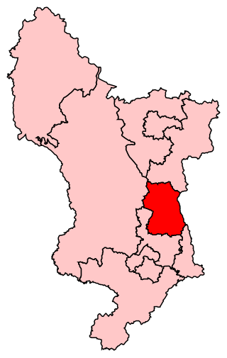 <span class="mw-page-title-main">Amber Valley (UK Parliament constituency)</span> Parliamentary constituency in the United Kingdom, 1983 onwards