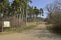 Kupferstraße, Blick in Richtung Nordost