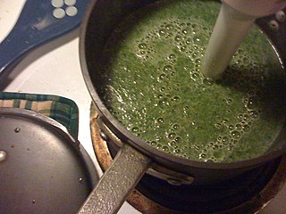 <span class="mw-page-title-main">Spinach soup</span>