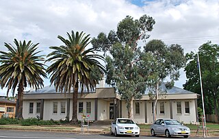 <span class="mw-page-title-main">Boree Shire</span> Former local government area in New South Wales, Australia