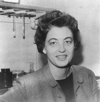 <span class="mw-page-title-main">Betty Hay</span> Cell biologist and Developmental biologist