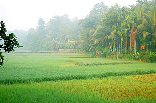 <span class="mw-page-title-main">Kodiyathur</span> Village in Kerala, India