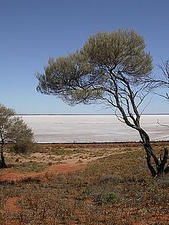 Lake Eyre basin Place in *Queensland *South Australia *Northern Territory *New South Wales, Australia