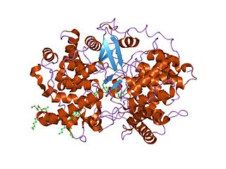 <span class="mw-page-title-main">Lanosterol synthase</span> Mammalian protein found in Homo sapiens