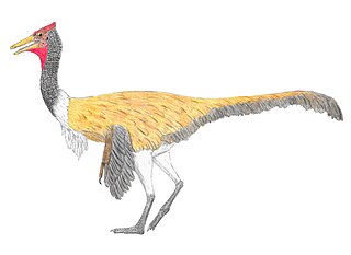 <i>Pelecanimimus</i> Extinct genus of dinosaurs