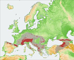 Distribución de Rupicapra en Europa durante o holoceno (gris) e na actualidade (vermello)