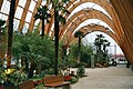 Sheffield Winter Gardens (old), UK