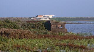 <span class="mw-page-title-main">Titchwell Marsh</span> Nature reserve in the United Kingdom