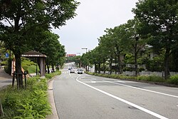 ウッディタウン 街風景