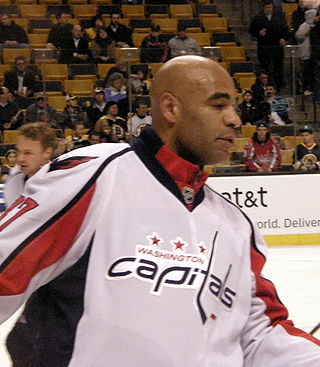 <span class="mw-page-title-main">Donald Brashear</span> American ice hockey player