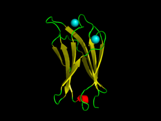 <span class="mw-page-title-main">C2 domain</span>