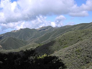 <span class="mw-page-title-main">Chaparral</span> Shrubland plant community in western North America