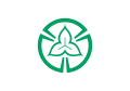 Flag of Tokorozawa, Saitama, Japan