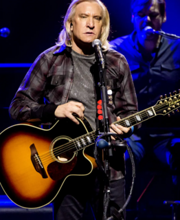 Joe Walsh American musician