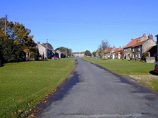 <span class="mw-page-title-main">Levisham</span> Village and civil parish in North Yorkshire, England