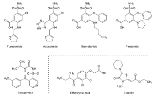 <span class="mw-page-title-main">Loop diuretic</span> Diuretics that act at the ascending limb of the loop of Henle in the kidney